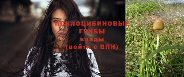 гидропоника Балахна