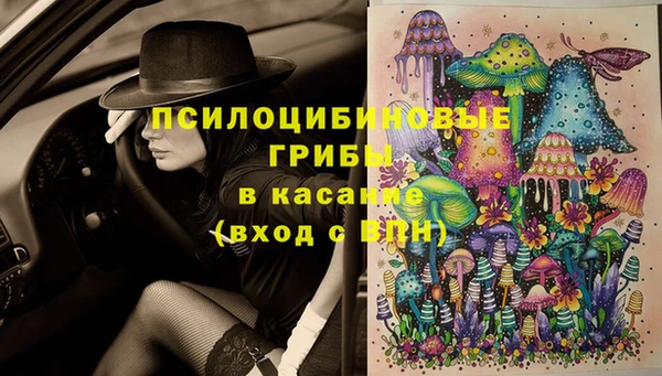 каннабис Аркадак